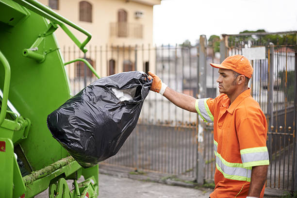 Shed Removal in Lemmon Valley, NV